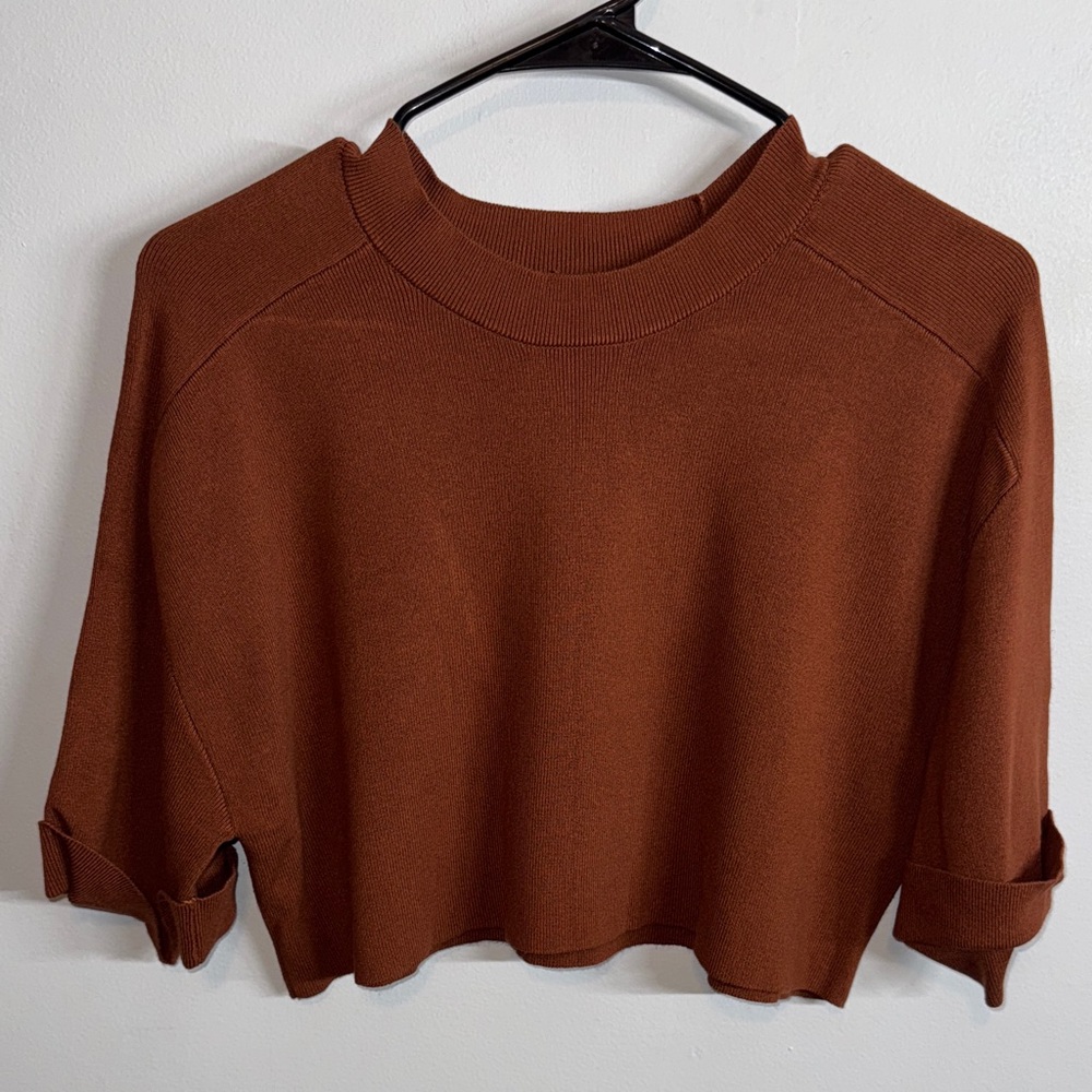 Chic Rust Cropped Knit Top
